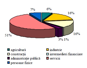 Structura creditelor acordate de IFN pe sectoare de activitate